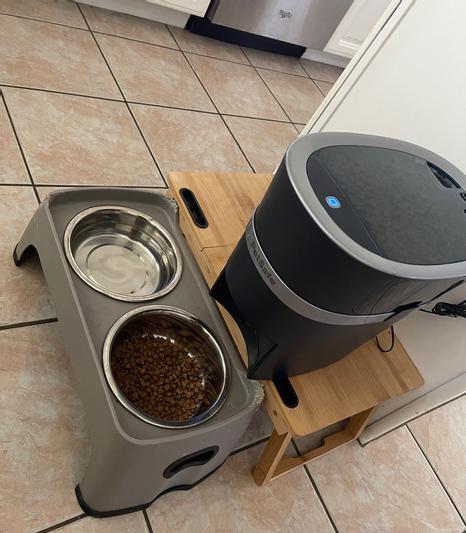 PetSafe Smart Feed Automatic Pet Feeder Review