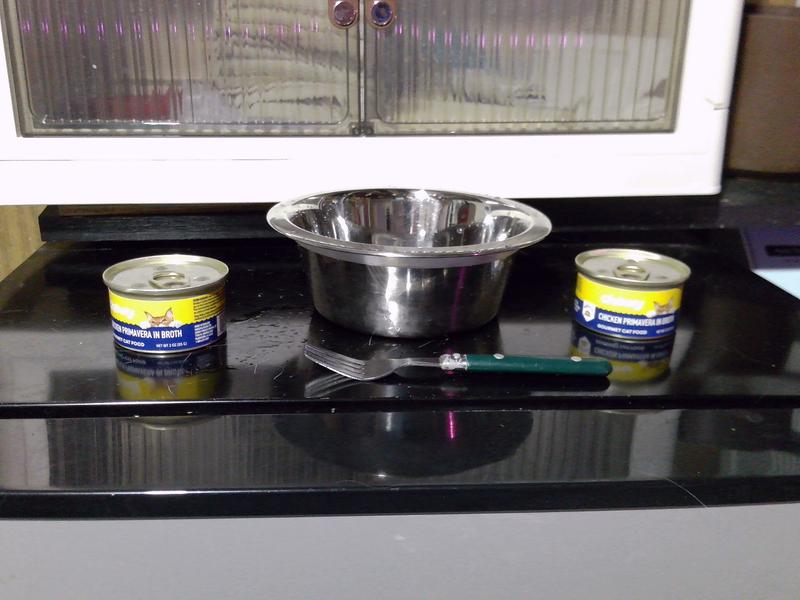 5 cats and two cans of food.