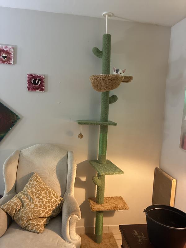 Spots in his favorite spot.