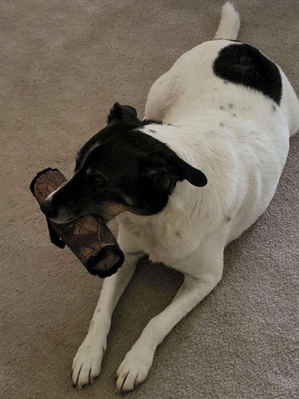 She's getting off the couch and greeting me with a toy now when I get home.