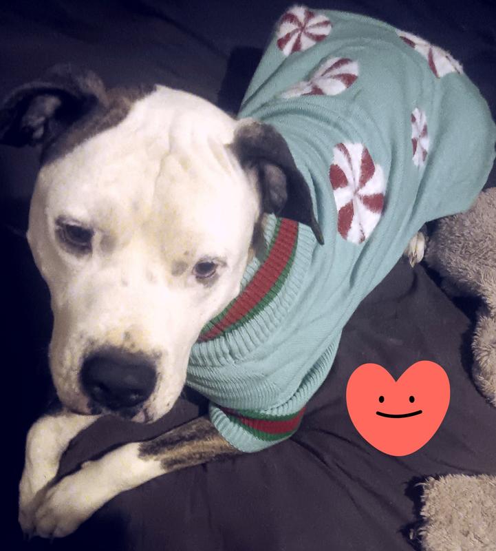 Chi loves his new sweater