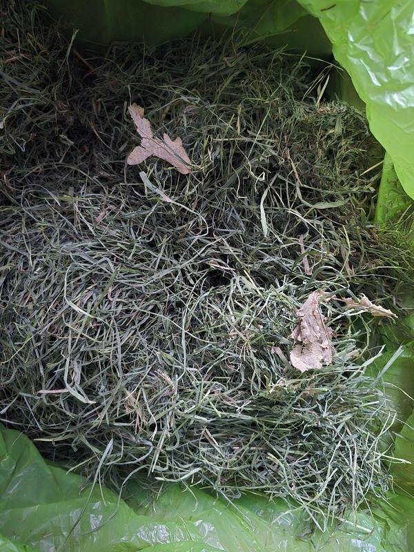 Leaves and stringy hay