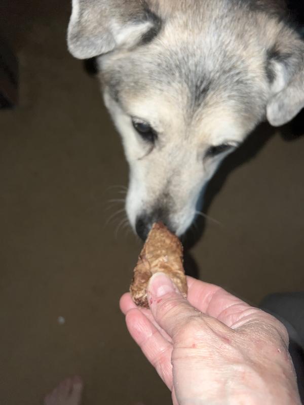 14 year old pal has always liked these treats!
