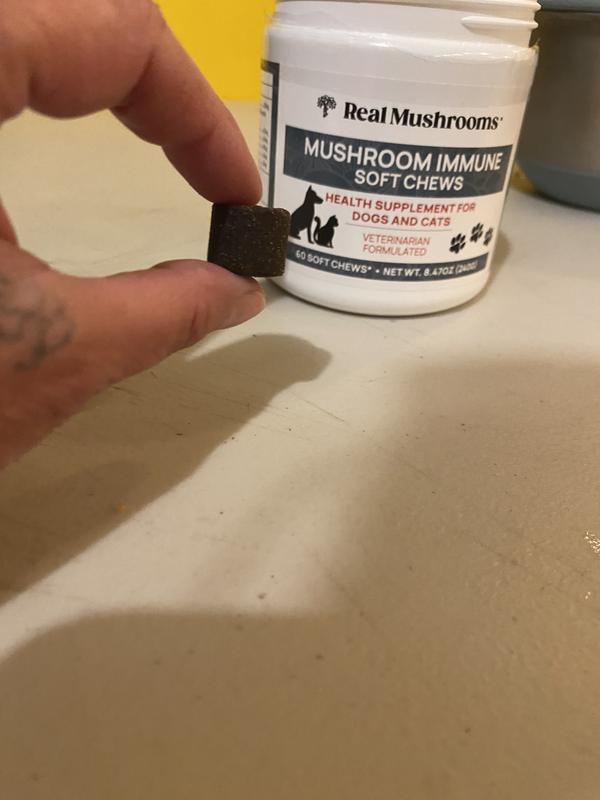 Good size for large dogs, but seem to crumble as a topper for smaller guys