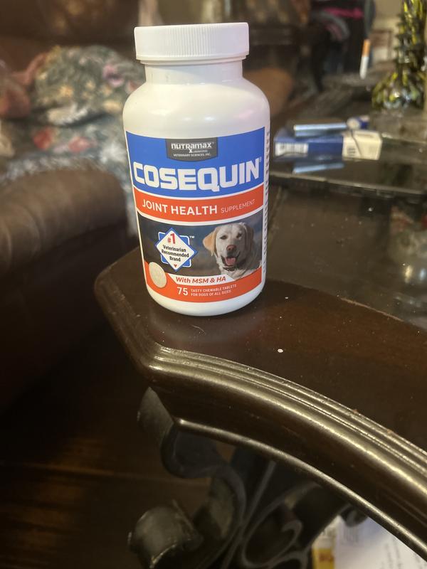 The best for older dogs overall health.