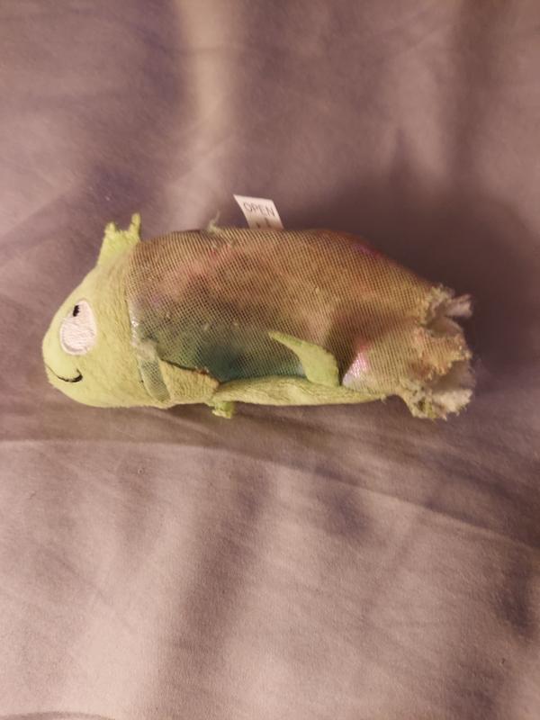 Aftermath of first day play.