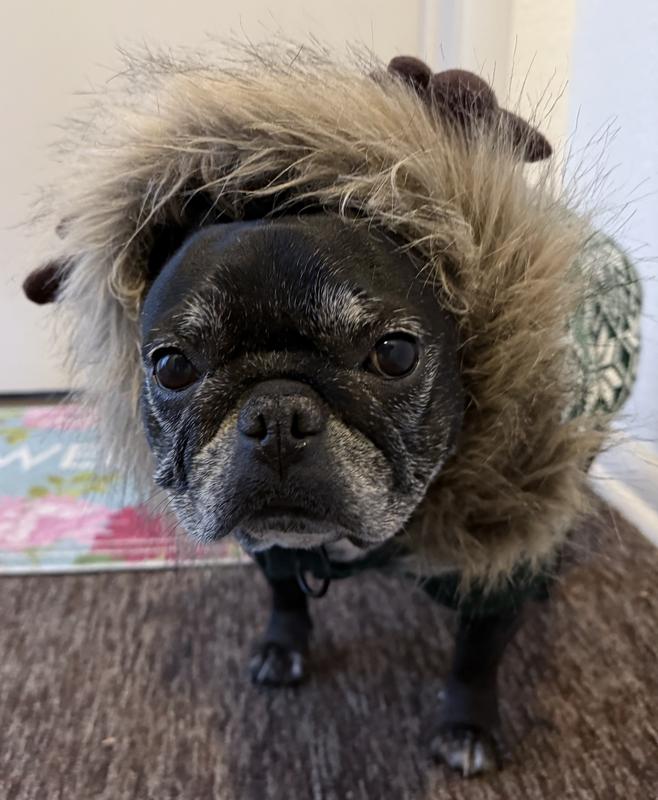 She does hate winter, though