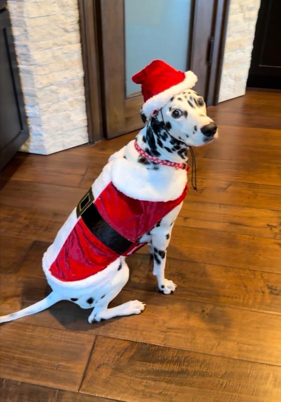 Obsessed! ❤️🎅🏻