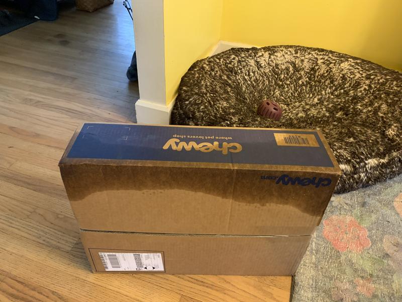 Box saturated with flyspray.