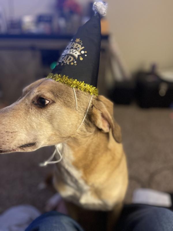 Nice snug fit but not overly tight