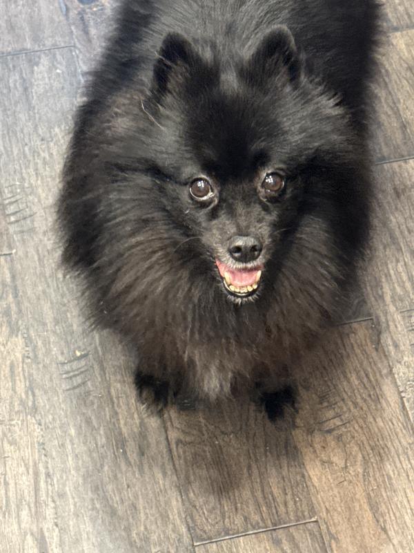 This is Cubby, hoping I will pull something better than that out of the refrigerator