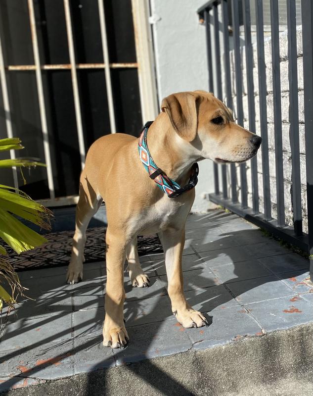 Looking Good in the neighborhood