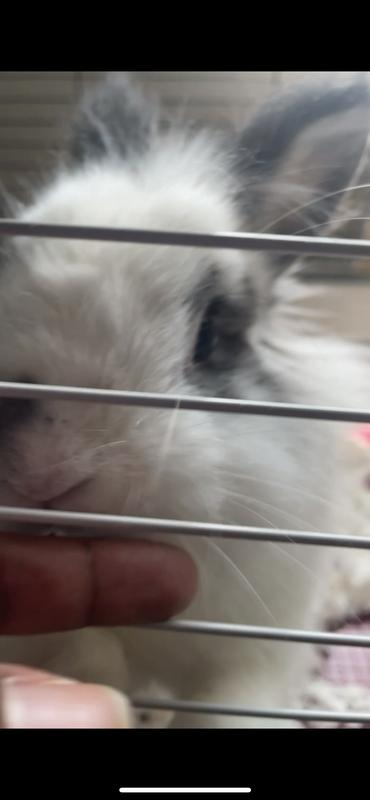 “Only photo I have available that isn’t too large”