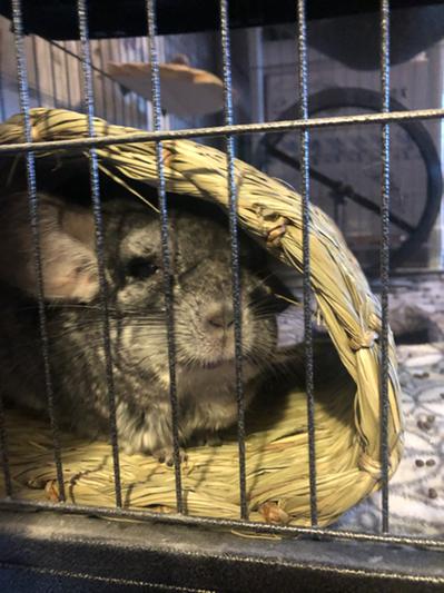 One happy grumpy old man!