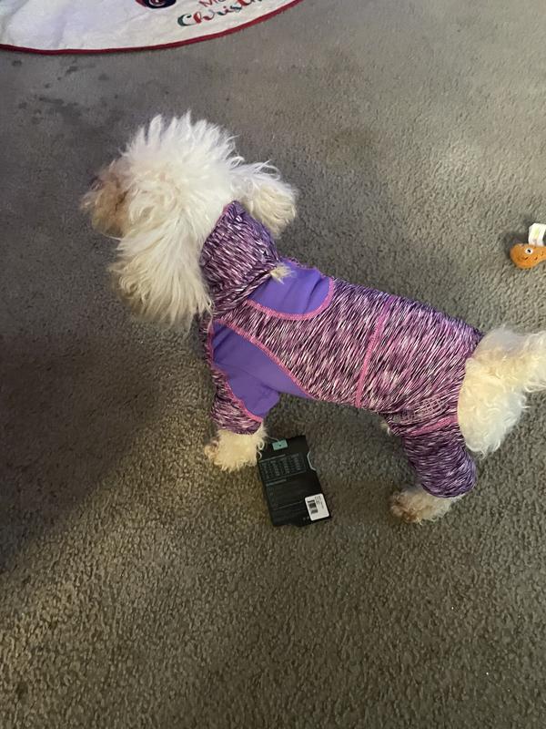 It will be great when we summer camp.