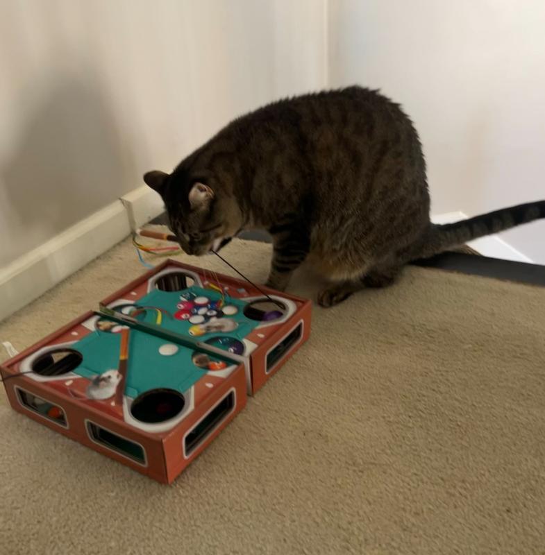 KONG Playground Pool Table Game & Puzzle Cat Toy with Catnip ...