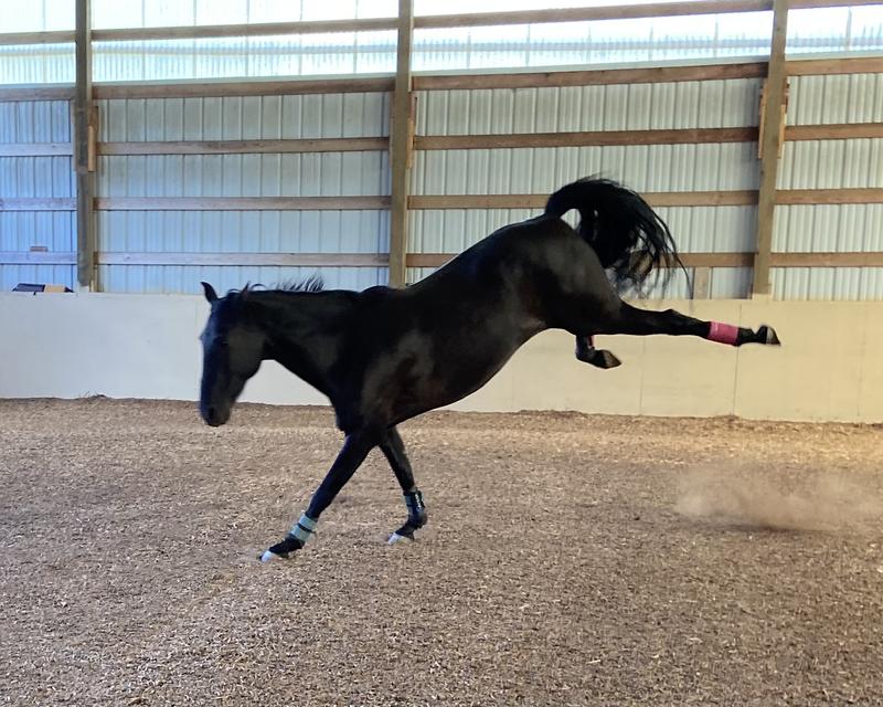 Leg protection and safety