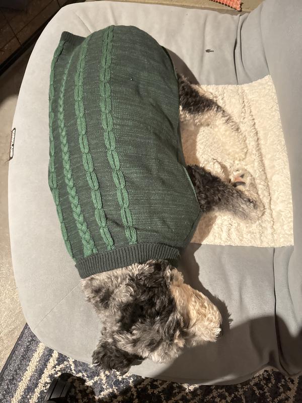 In her sweater, and sleeping away in the garage while I work.