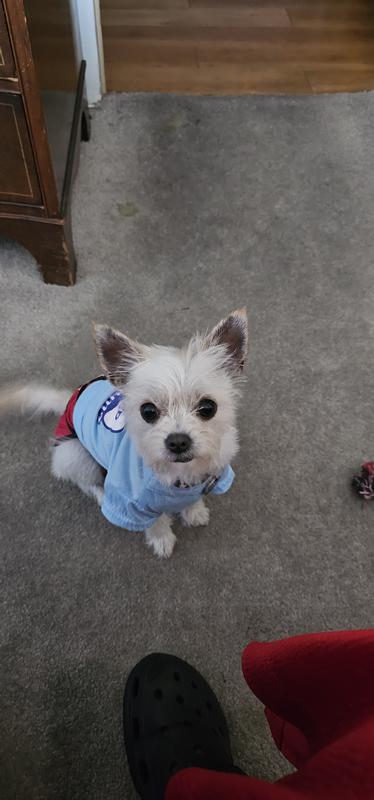 Fisty, demanding, little bundle of cuddle, who likes to get in the last word