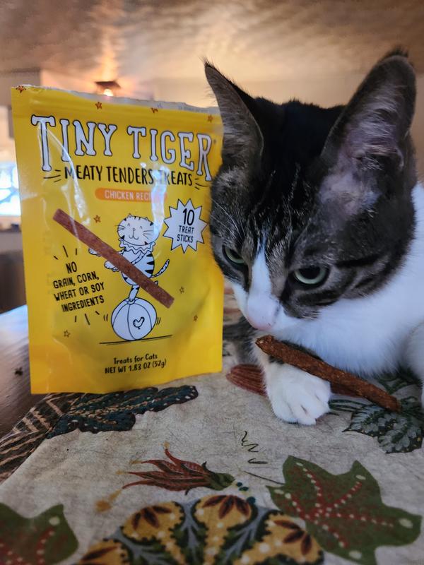 DIY Cool Cat Treats For The Dog Days of Summer - The Tiniest Tiger