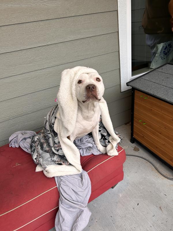 Enjoying herself in her New Backyard