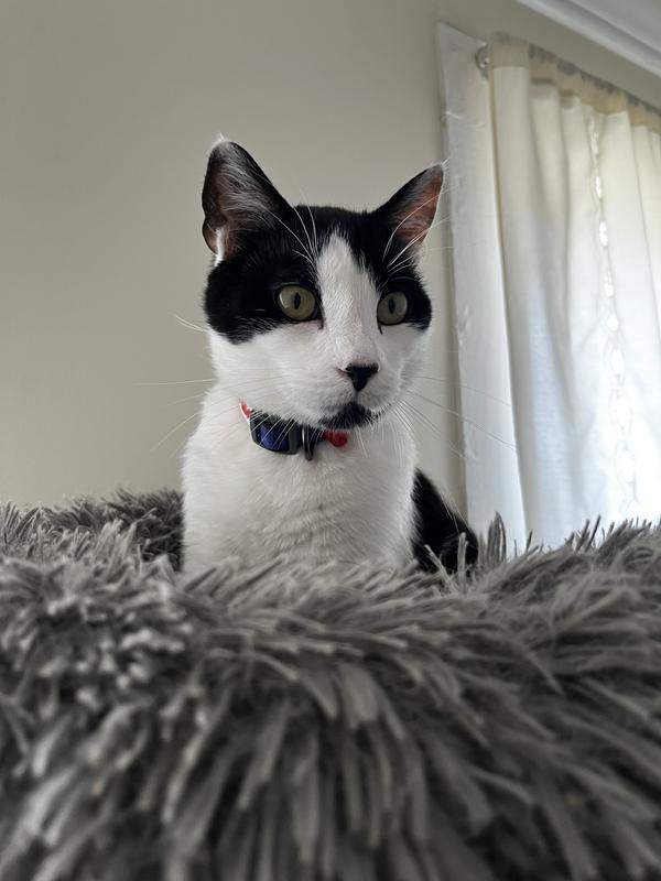 ‘Not Looking’ model shot