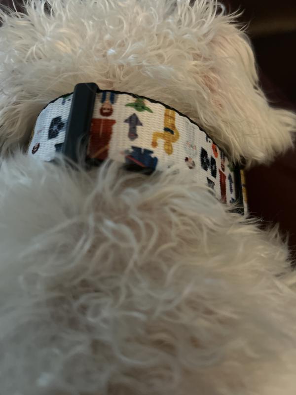 Chewy named after Chewbacca