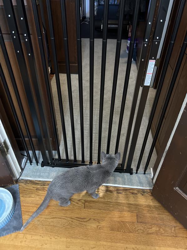 RICHELL Steel Cat Extra Tall Safety Gate, 70in, Beige