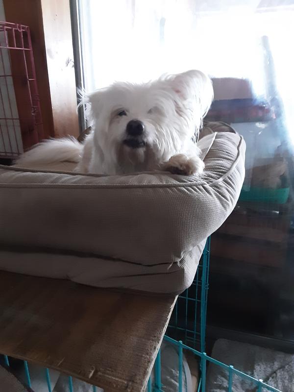 My baby ..old man...Colby..We so love b him!