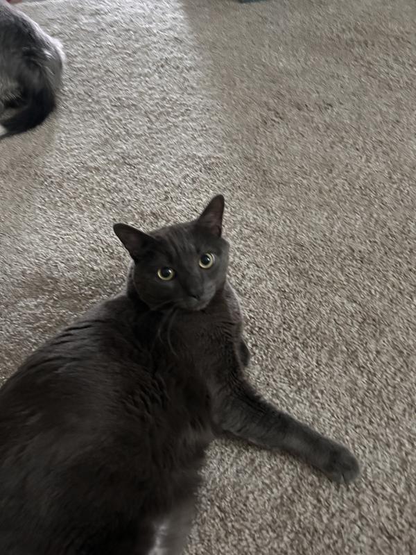 Asher loves them! 💙💙