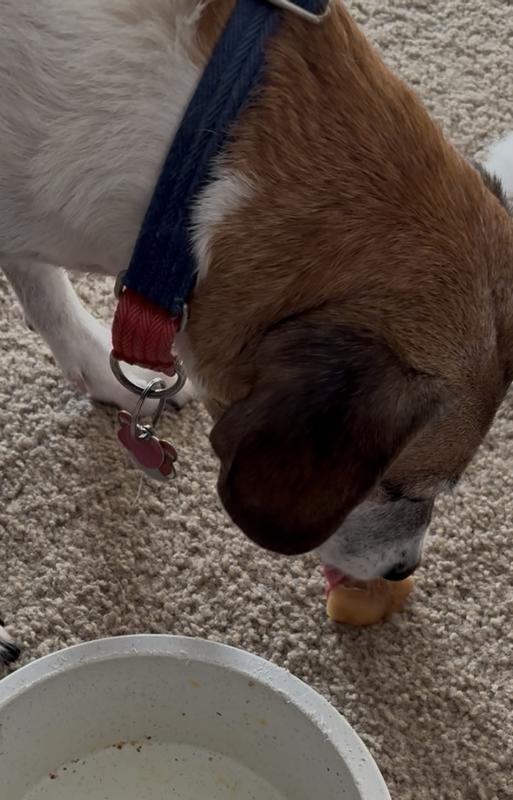 He loves his frozen treat
