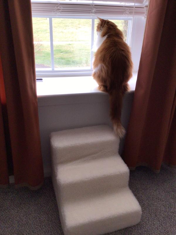 BEST PET SUPPLIES Foam Cat & Dog Stairs, White Lambswool, 3Step