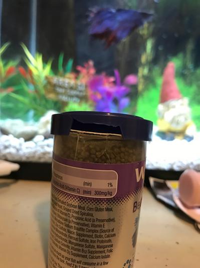 WARDLEY Blue Color Intensifier Betta Fish Food, 1.2-oz jar - Chewy.com