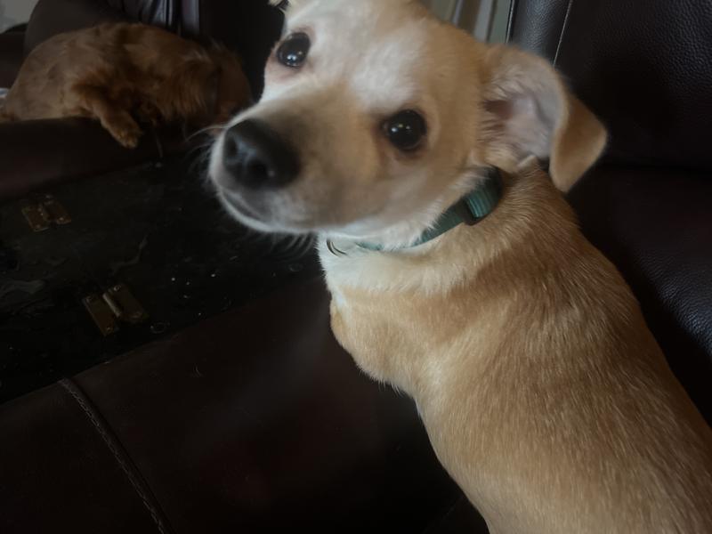 Our baby. He is blind