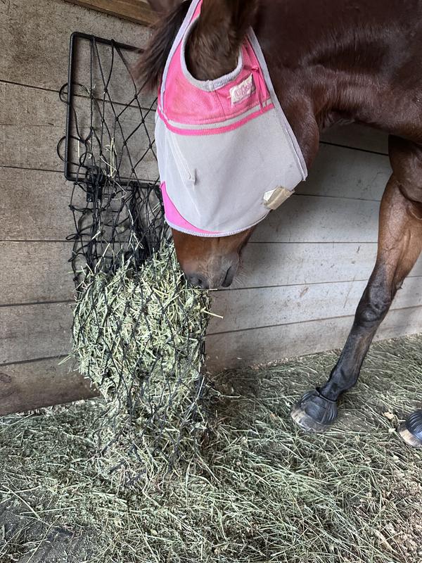 Looking for the flakes!