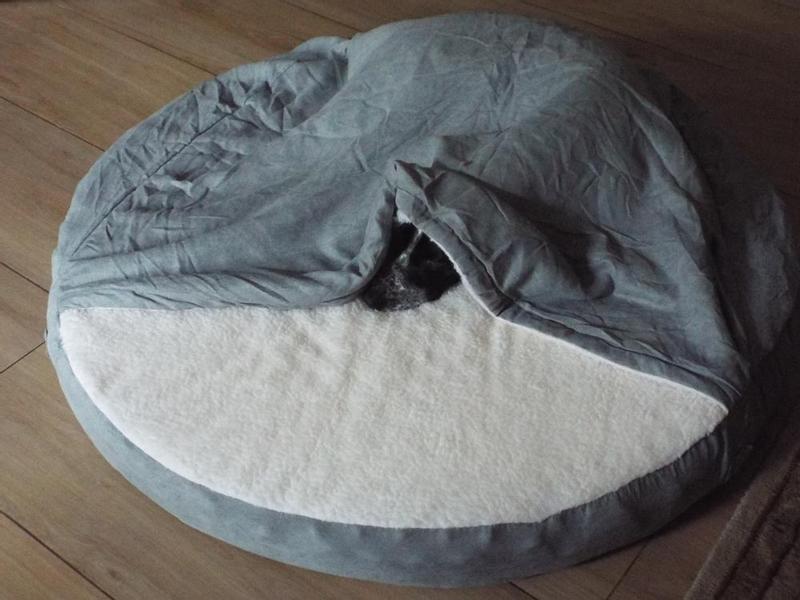 Lifted the cover so you can see there is actually a dog in the bed!