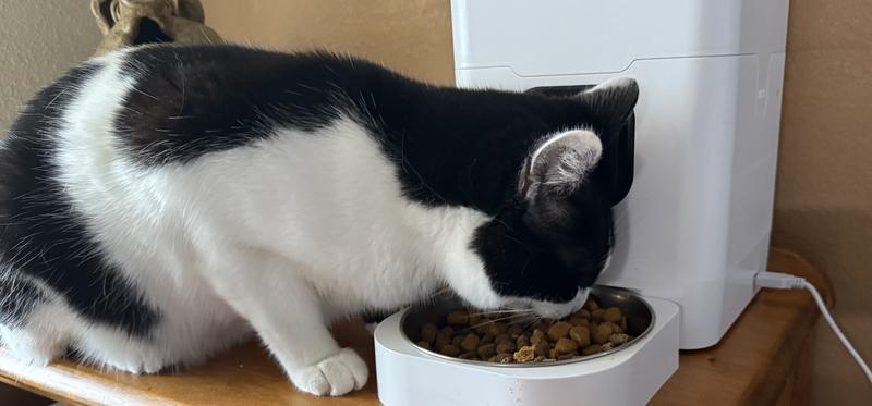 Carter has a healthy appetite and loves moist foods “toppings.”