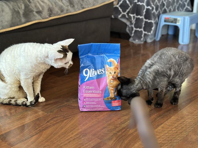 Mowgli wanted to tear the bag open…