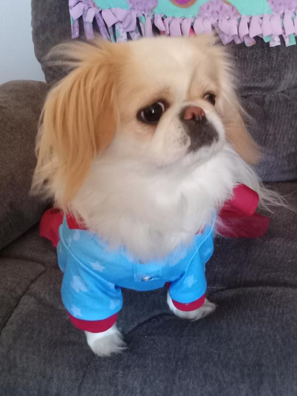 See the sleeves! They keep me warmer!
