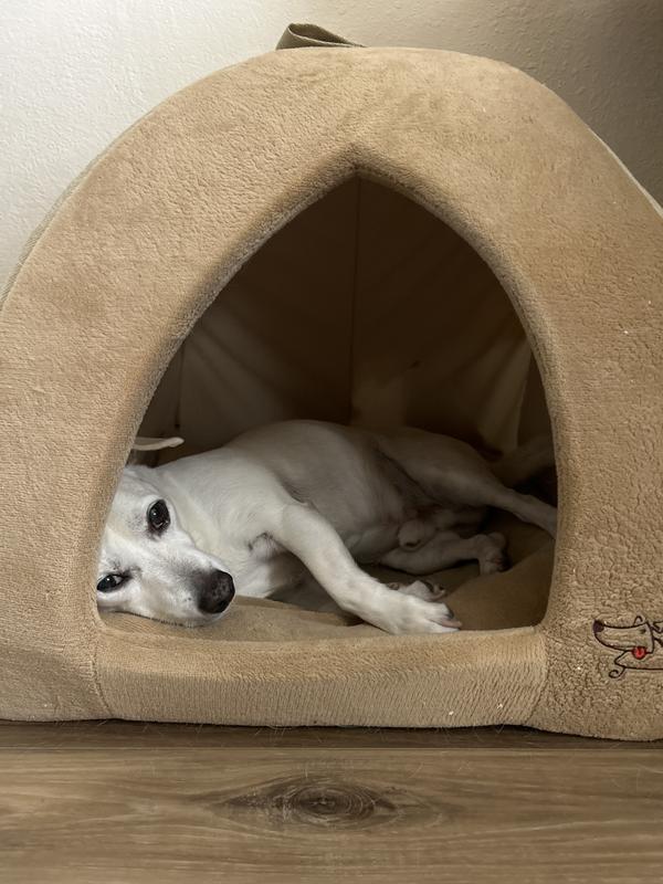 BEST PET SUPPLIES Fleece Tent Covered Cat Dog Bed Tan X Large Chewy