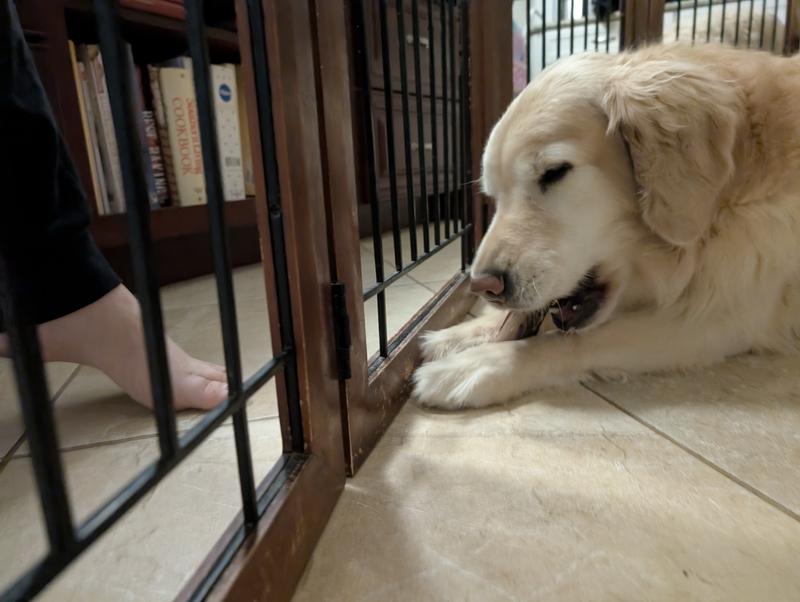 Summer dove right in