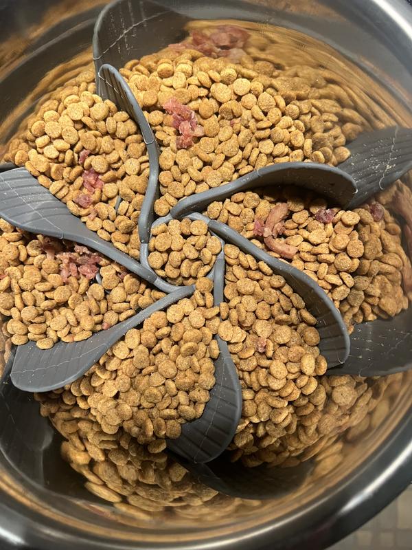 FRISCO Slow Feeder Insert - Chewy.com