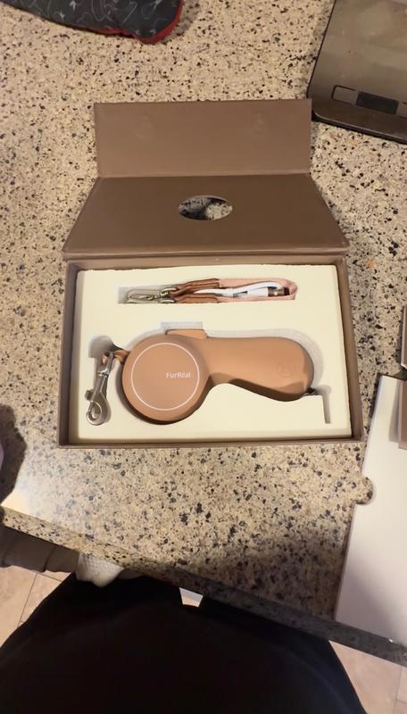 What it looks like in the box