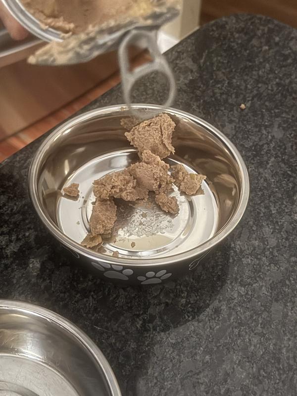 Looks like most canned dog foods