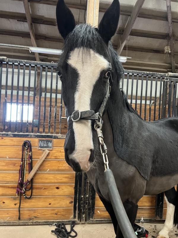 Clipped long, not very clean hair very well