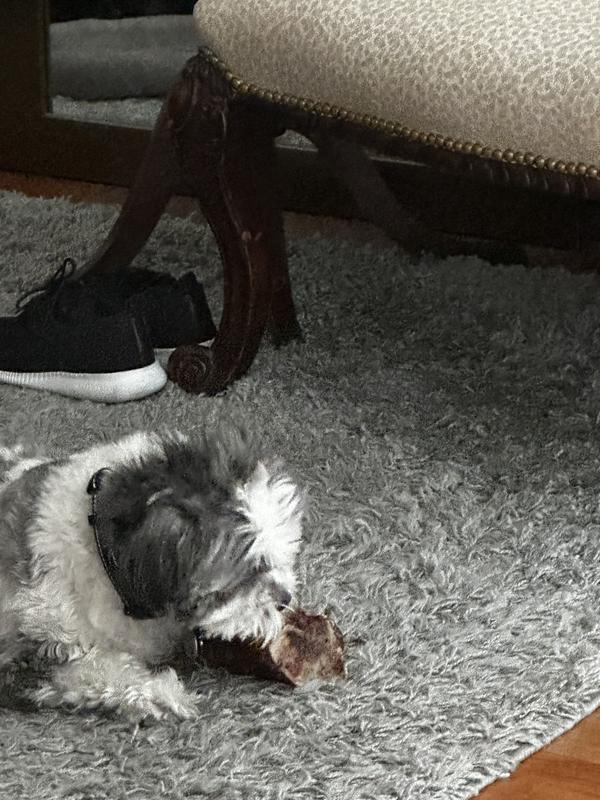 Chowing down