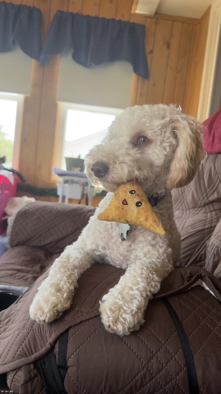 a girl and her chippie