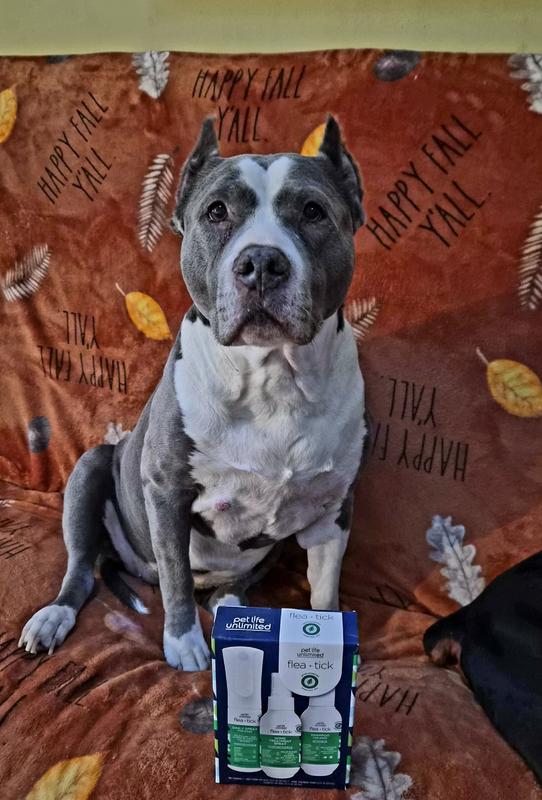 Pet Life Unlimited Flea & Tick 3-Step Kit for Dogs