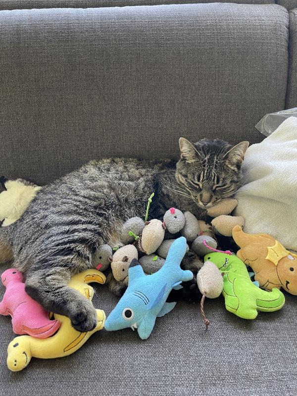 A Queen and her Subjects