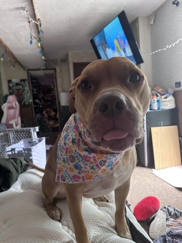 Suns out, tongues out!☀️
